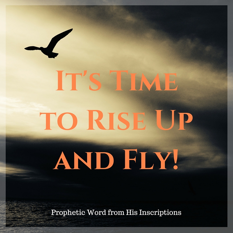 Prophetic Word: It's Time to Rise Up and Fly! From h HisInscriptions.com/ Deborah Perkins, June 2016