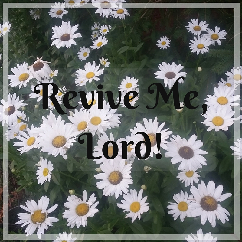 Revive Me, Lord! Being renewed by the Spirit of Christ through creation. A blog by Deborah Perkins of HisInscriptions.com