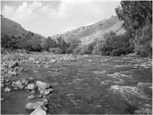 Restful rivers picture / Overcoming Exhaustion - an article by Deborah Perkins of HisInscriptions.com