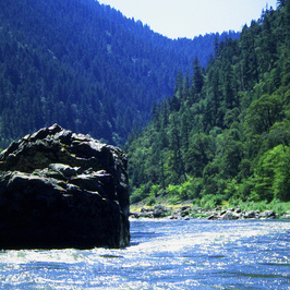River picture