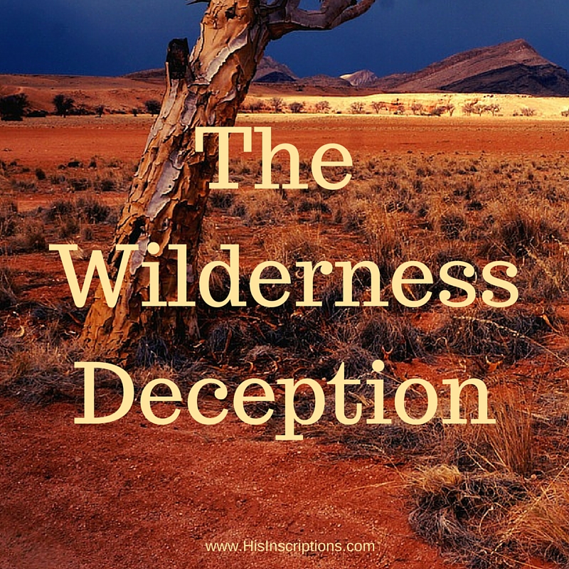 The Wilderness Deception: blog post by Deborah Perkins of HisInscriptions.com. Rejecting the lie that believers can be 