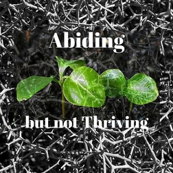 Abiding But Not Thriving Article