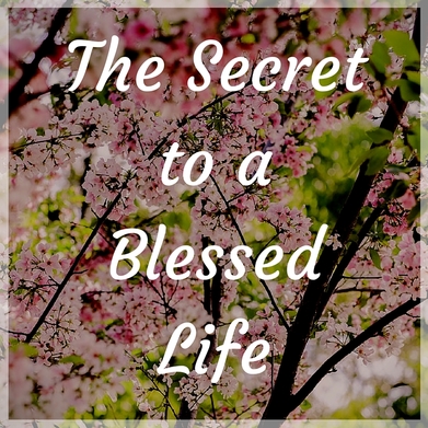 The Secret to the Blessed Life - a blog post by Deborah Perkins of HisInscriptions.com. Finding biblical sufficiency in all things looks different than what we imagine! 