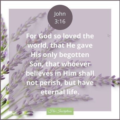 John 3:16 Scripture / HisInscriptions.com