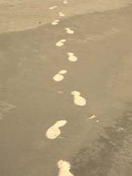 Footprints Pic