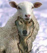 Wolf in Sheep's Clothing Picture