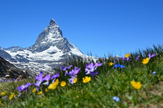 Matterhorn Springtime