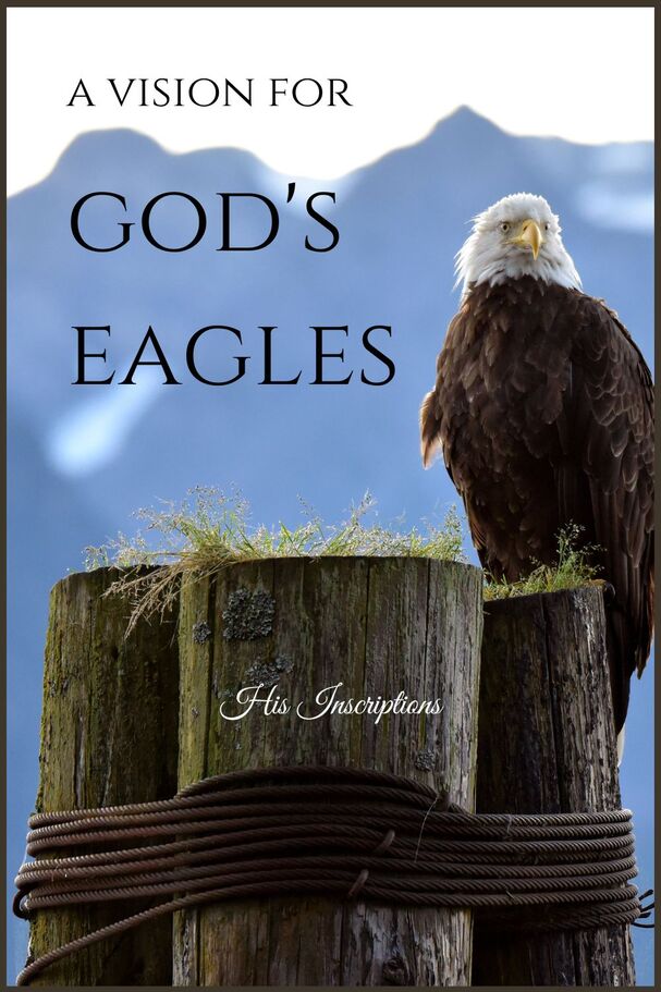 A VISION FOR GOD'S EAGLES by Deborah Perkins
