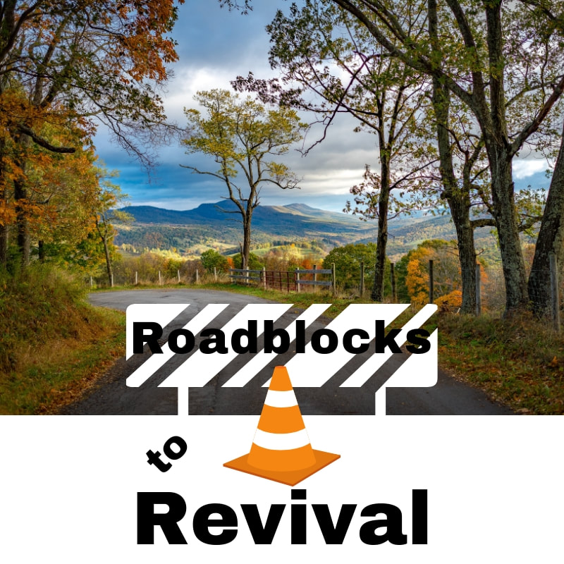 Roadblocks to Revival - blog post from Deborah Perkins of www.HisInscriptions.com